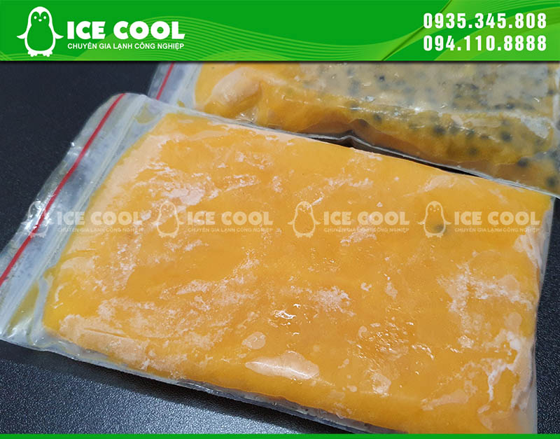Các loại thực phẩm được làm đông bởi máy cấp đông nhanh ICE COOL