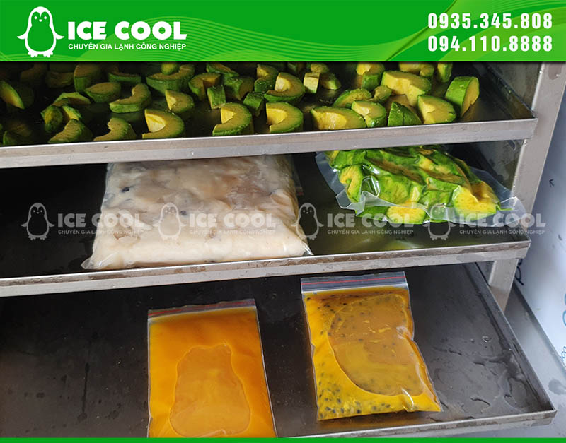 Các loại thực phẩm được làm đông bởi máy cấp đông nhanh ICE COOL