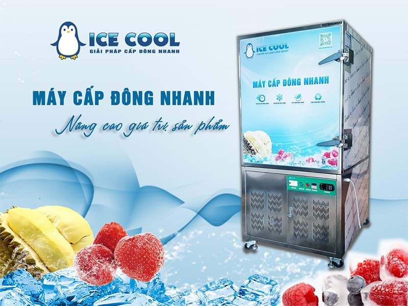 Máy cấp đông nhanh bí ICE COOL